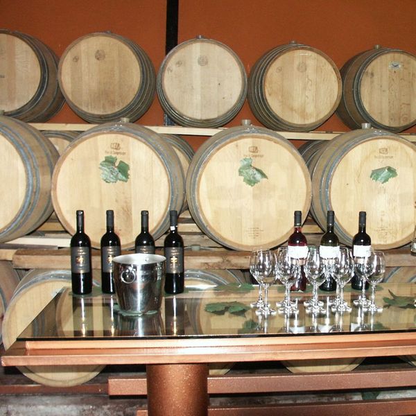 Culinary excursion tour