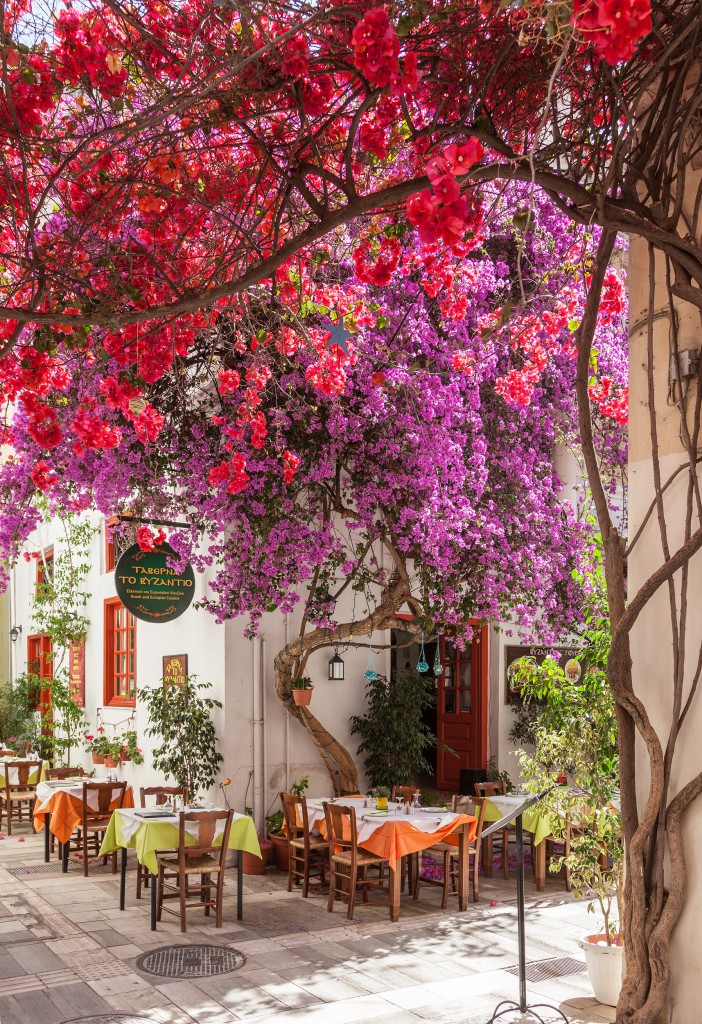 Tourist information – The meals Tourist information – The meals