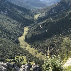 Excursieweek