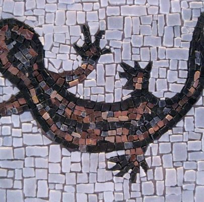 salamander-mozaiek