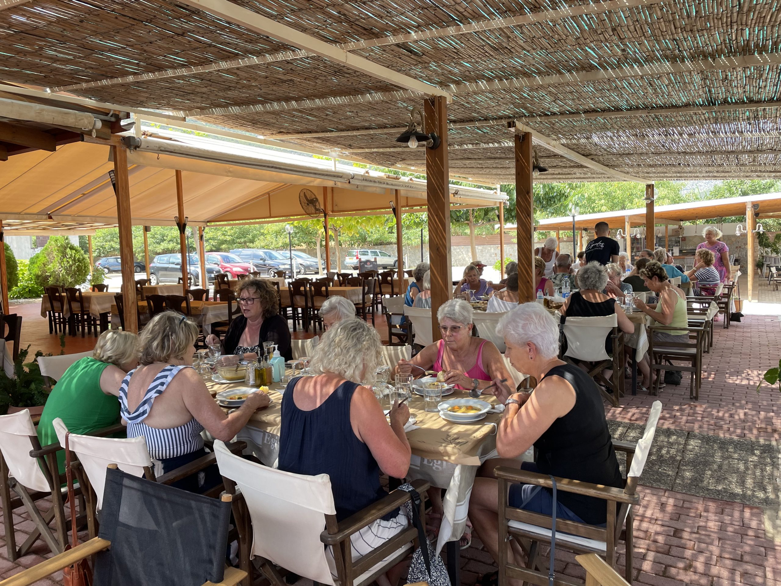 52368636348_d971102491_o 52368636348_d971102491_o