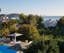 aristotelis2