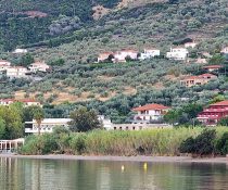 aristotelis4