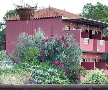 aristotelis5