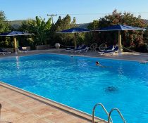 aristotelis8
