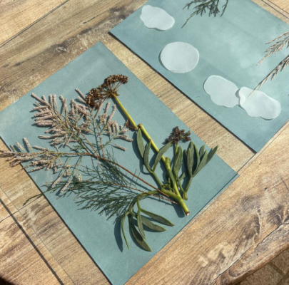 ecoprint-cyanotype_2025-12-04_143352