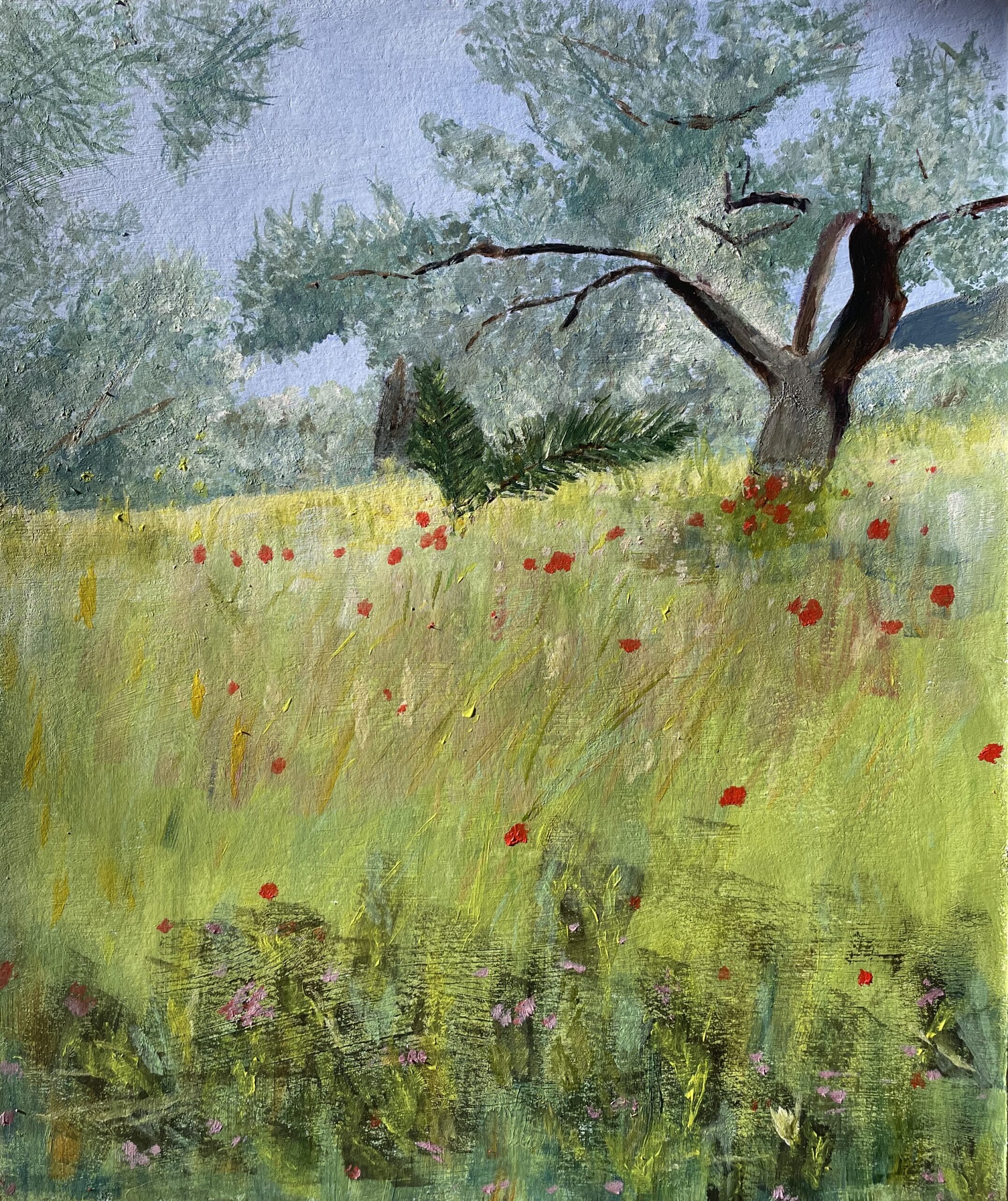 schilderen_3163 schilderen_3163