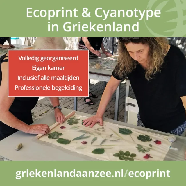 Workshops in het najaar #creatieve workshops #creatieve vakanties #creatief #grafiek #ecoprint #cyanotype # fotografie # schilderen #tekenen #sculptuur #